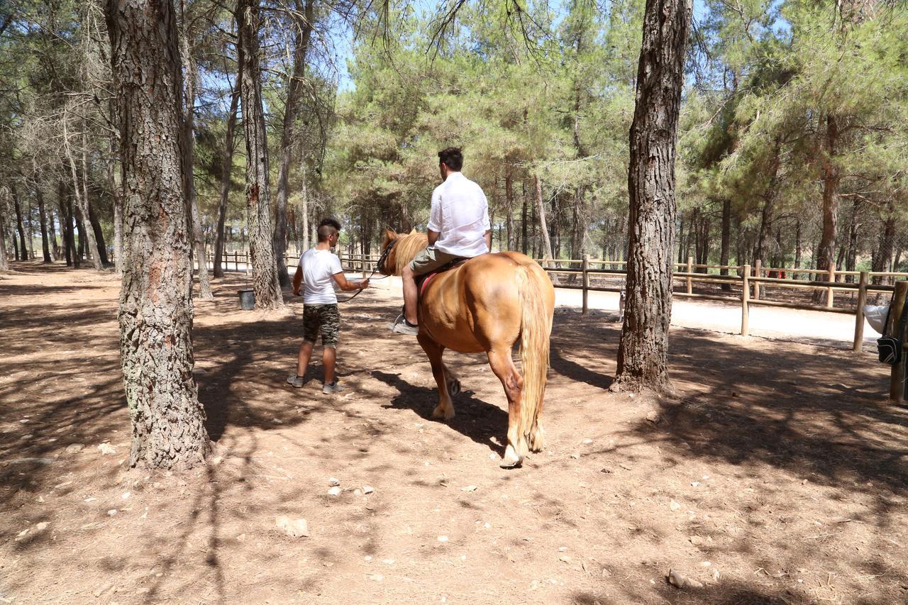 Masseria Chinunno アルタムラ エクステリア 写真